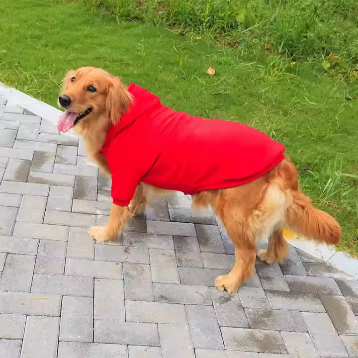 Sudadera con Capucha para Perros - Imagen 4