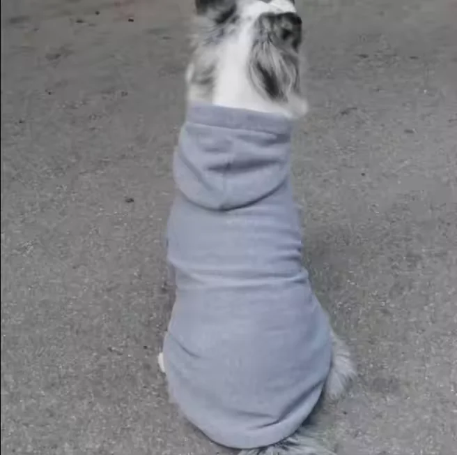 Sudadera con Capucha para Perros - Imagen 7
