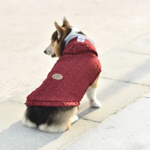 1700 h8831229e24a04889928714f587f85b20f