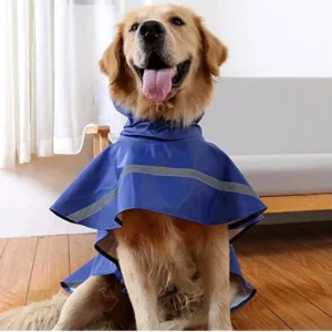 1900 h2296d8a1ed4540629f9b8bfd8a2525dab