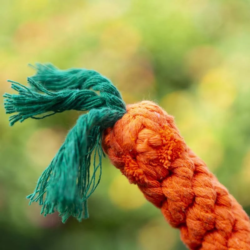 2400 h1872e19df7074baa9e3bbcf11474b50a6 2400 h1872e19df7074baa9e3bbcf11474b50a6