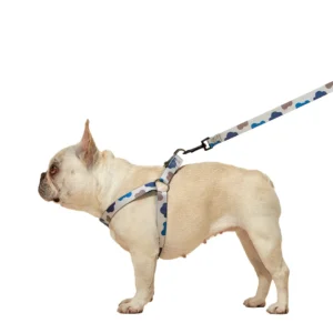 7300 h1885875f1ec1447cae63d6c5479c957ee